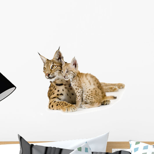 Baby Lynx Cat Wall Decal