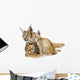Baby Lynx Cat Wall Decal
