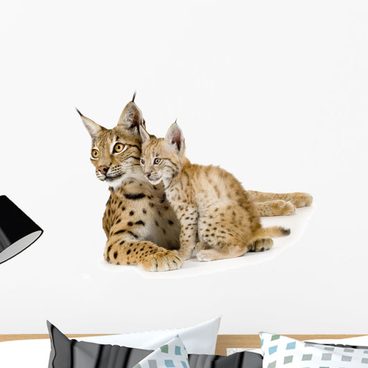 Baby Lynx Cat Wall Decal