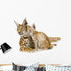Baby Lynx Cat Wall Decal
