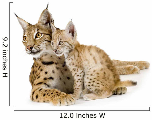 Baby Lynx Cat Wall Decal