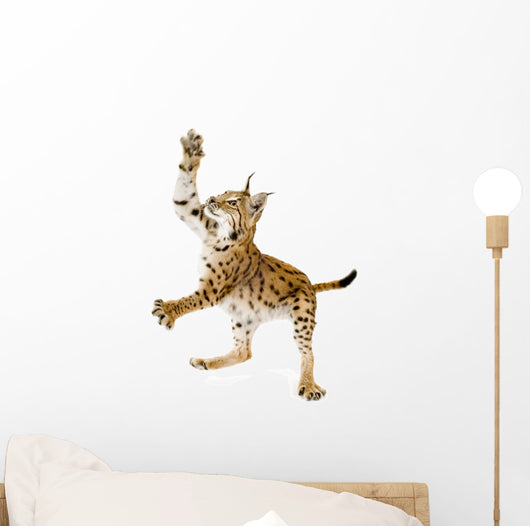 Swatting Lynx Front Wall Decal