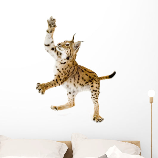 Swatting Lynx Front Wall Decal