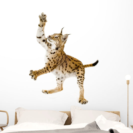 Swatting Lynx Front Wall Decal