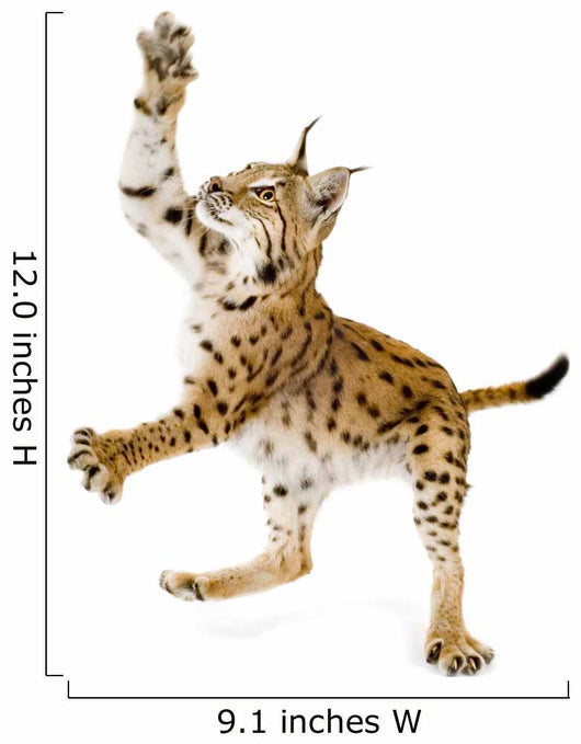 Swatting Lynx Front Wall Decal