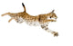 Pouncing Lynx Wall Decal