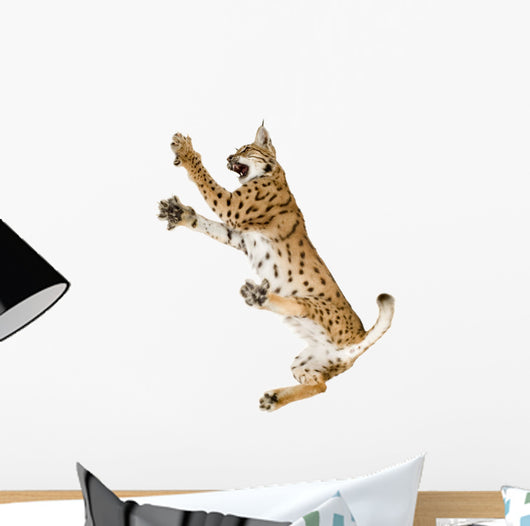 Fighting Air Lynx Cat Wall Decal