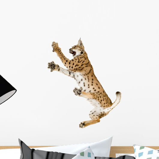 Fighting Air Lynx Cat Wall Decal