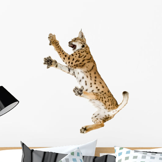 Fighting Air Lynx Cat Wall Decal