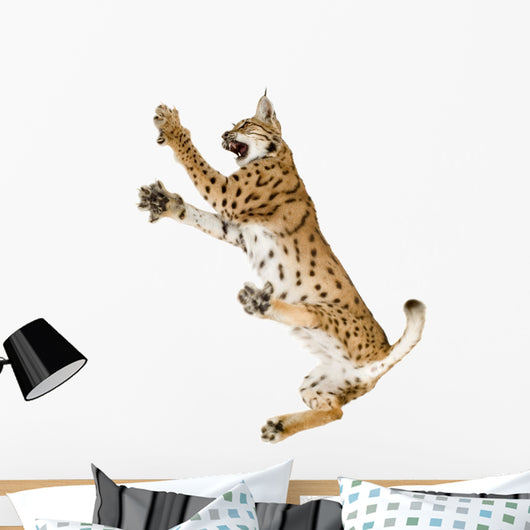 Fighting Air Lynx Cat Wall Decal