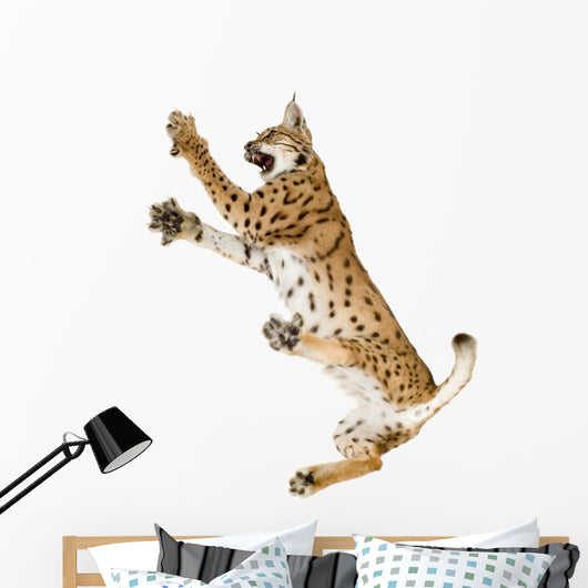 Fighting Air Lynx Cat Wall Decal