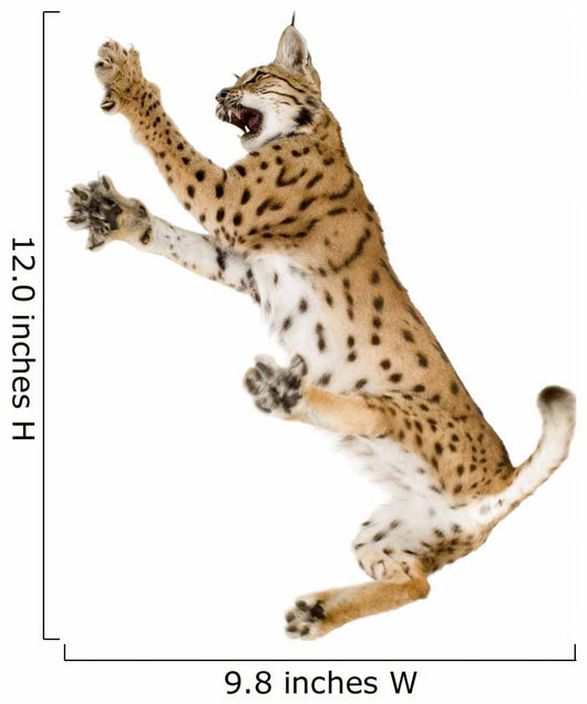Fighting Air Lynx Cat Wall Decal