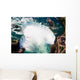 Canadian Horse Shoe Falls Wall Decal