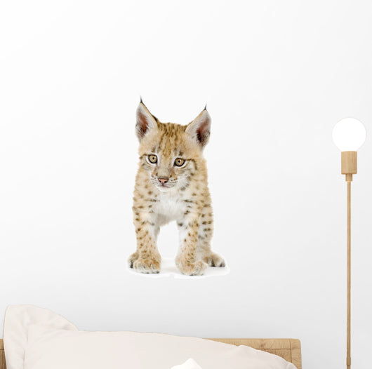 Lynx Cub Front Wall Decal