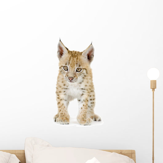 Lynx Cub Front Wall Decal