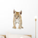 Lynx Cub Front Wall Decal