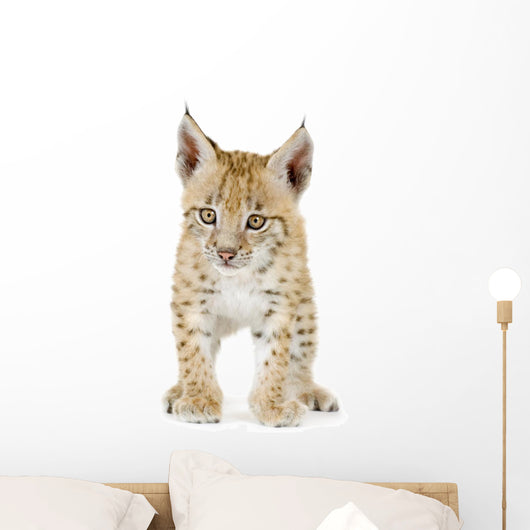 Lynx Cub Front Wall Decal