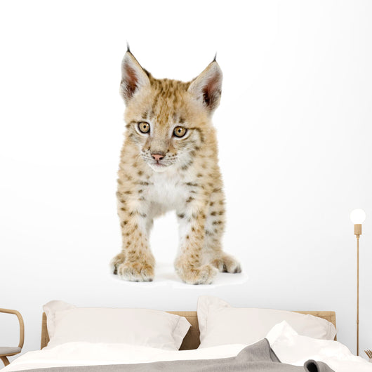 Lynx Cub Front Wall Decal