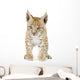 Lynx Cub Front Wall Decal