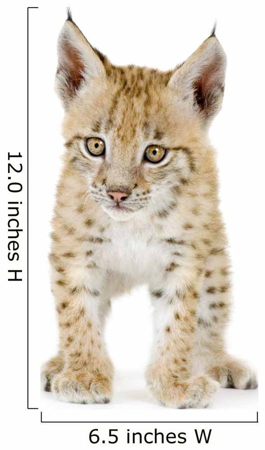 Lynx Cub Front Wall Decal
