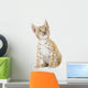 Sitting Lynx Cub Front Wall Decal