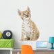 Sitting Lynx Cub Front Wall Decal