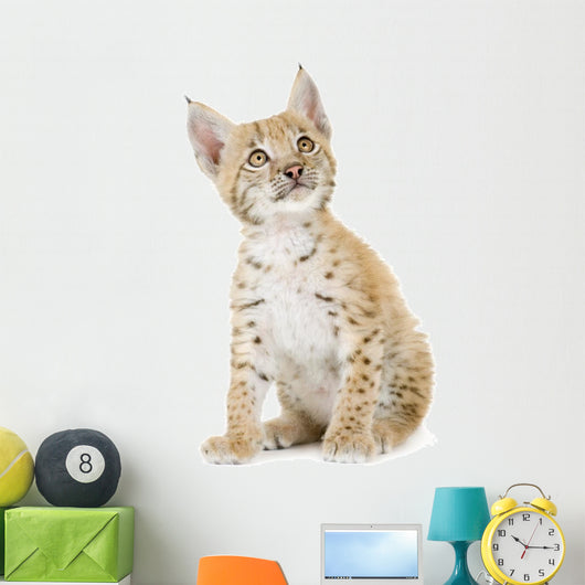 Sitting Lynx Cub Front Wall Decal