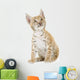 Sitting Lynx Cub Front Wall Decal