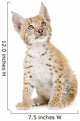 Sitting Lynx Cub Front Wall Decal