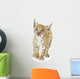 Lynx Cub Wall Decal