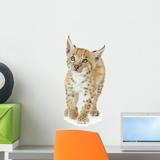Lynx Cub Wall Decal