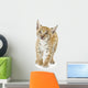 Lynx Cub Wall Decal