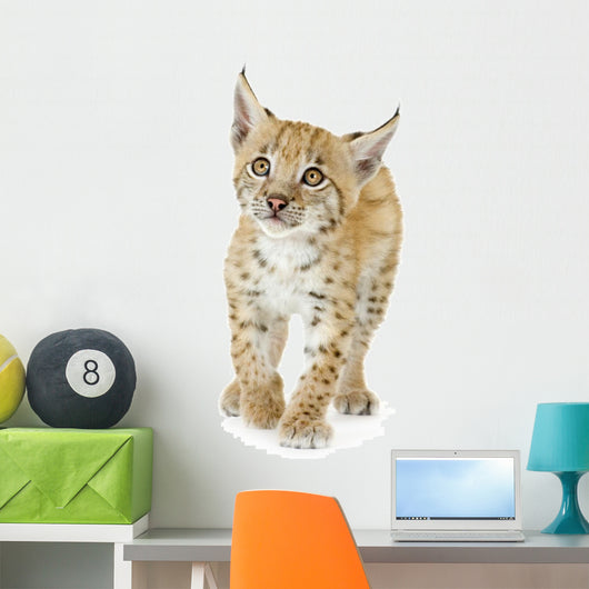 Lynx Cub Wall Decal