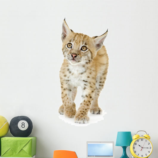 Lynx Cub Wall Decal