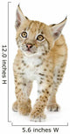Lynx Cub Wall Decal