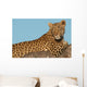 Leopard Tree Wall Decal