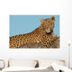 Leopard Tree Wall Decal