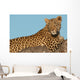 Leopard Tree Wall Decal