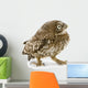Young Owl Looking Left Wall Decal