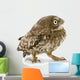 Young Owl Looking Left Wall Decal