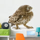 Young Owl Looking Left Wall Decal