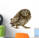 Crouching Young Owl Wall Decal