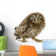 Crouching Young Owl Wall Decal