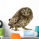 Crouching Young Owl Wall Decal