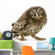 Crouching Young Owl Wall Decal