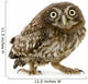 Crouching Young Owl Wall Decal
