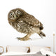 Young Owl Left Side Wall Decal