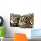 Two Young Owll Laying Down Wall Decal