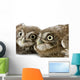 Two Young Owll Laying Down Wall Decal