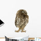Young Owl Front Wall Decal